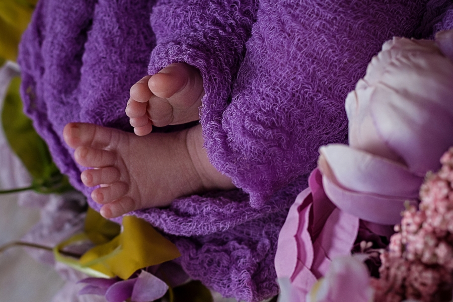 Baby Photo in Lorton