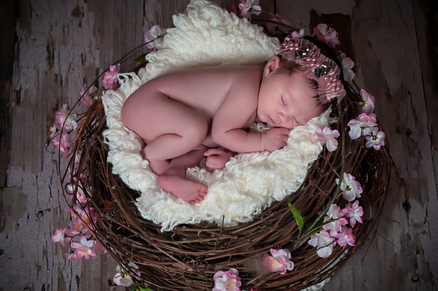 Baby Photographer in Olney