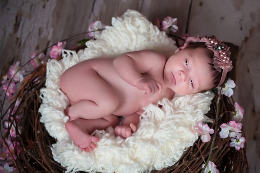 Baby Photography in Ashburn